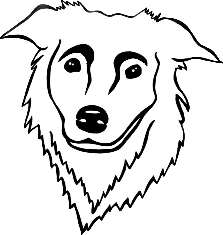 Chiemgau-Collies